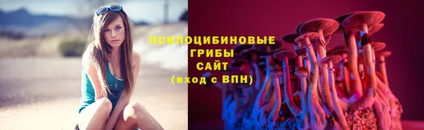ECSTASY Магас
