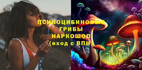винт Абаза