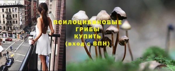 винт Абаза